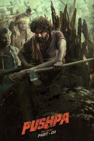 Pushpa – The Rise